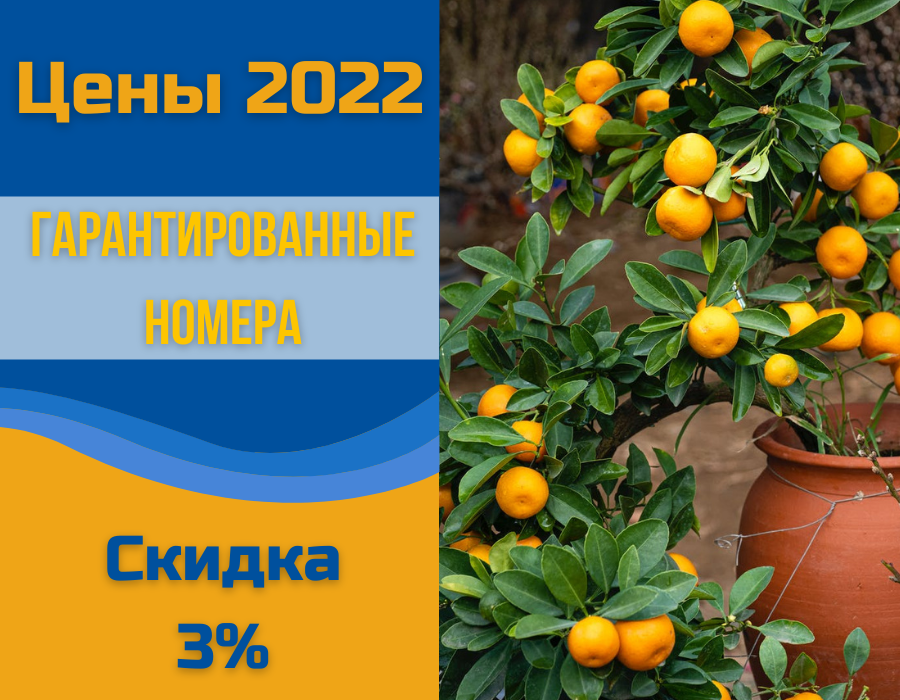 Что такое опк пицунда. Смотреть фото Что такое опк пицунда. Смотреть картинку Что такое опк пицунда. Картинка про Что такое опк пицунда. Фото Что такое опк пицунда